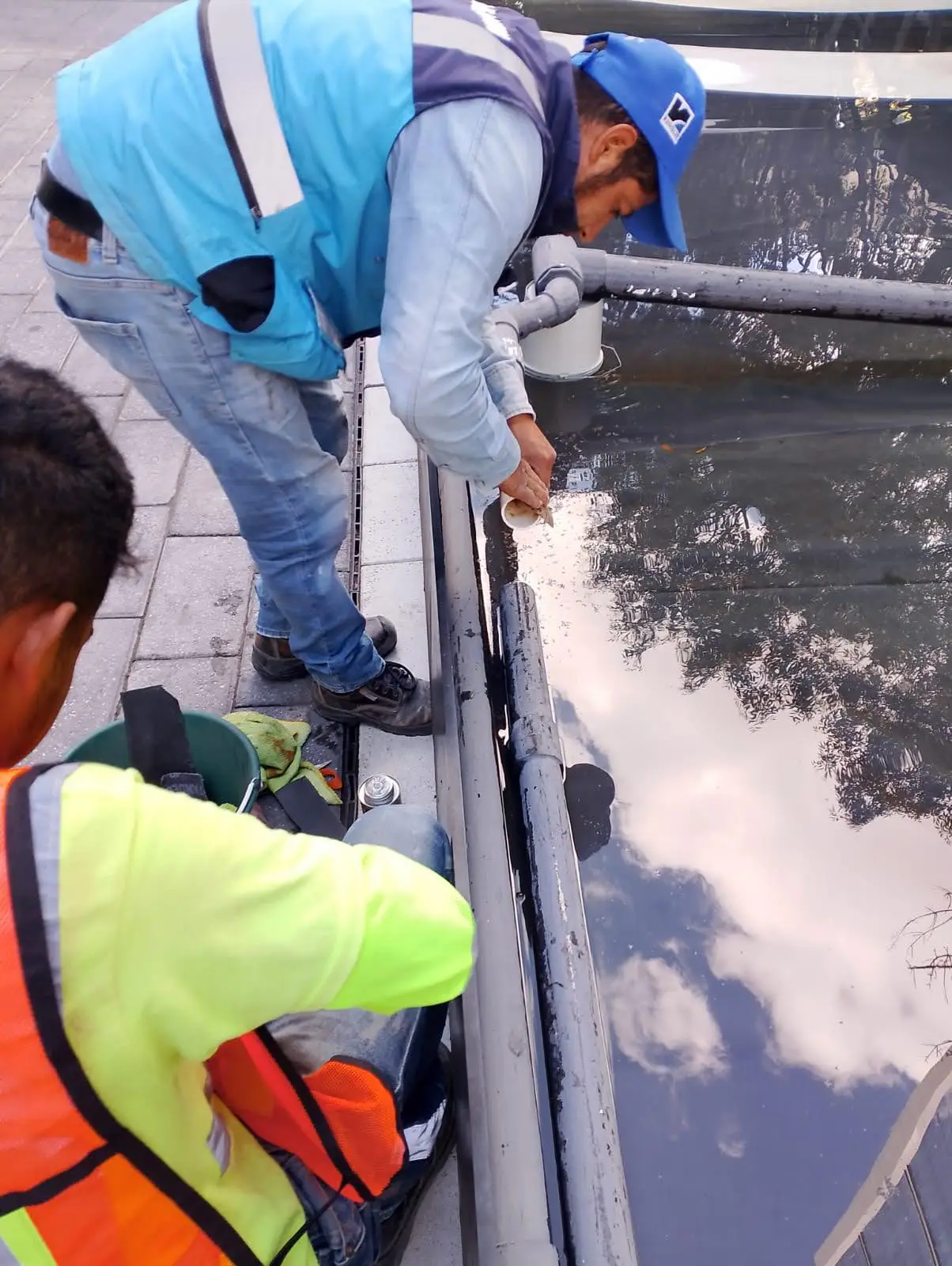 Espejo de Agua, alberca con sistema RENOLIT por AlbercasVIP, imagen 6