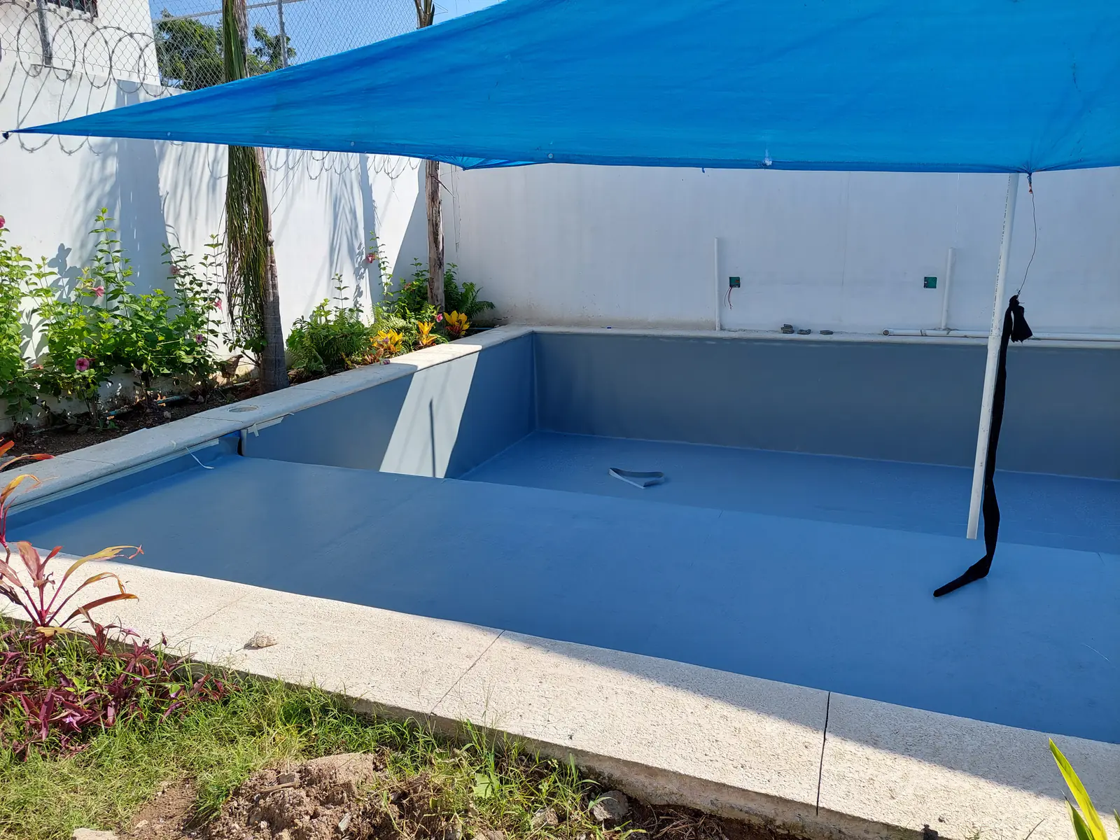 Jardín Tropical, alberca con sistema RENOLIT por AlbercasVIP, imagen 2