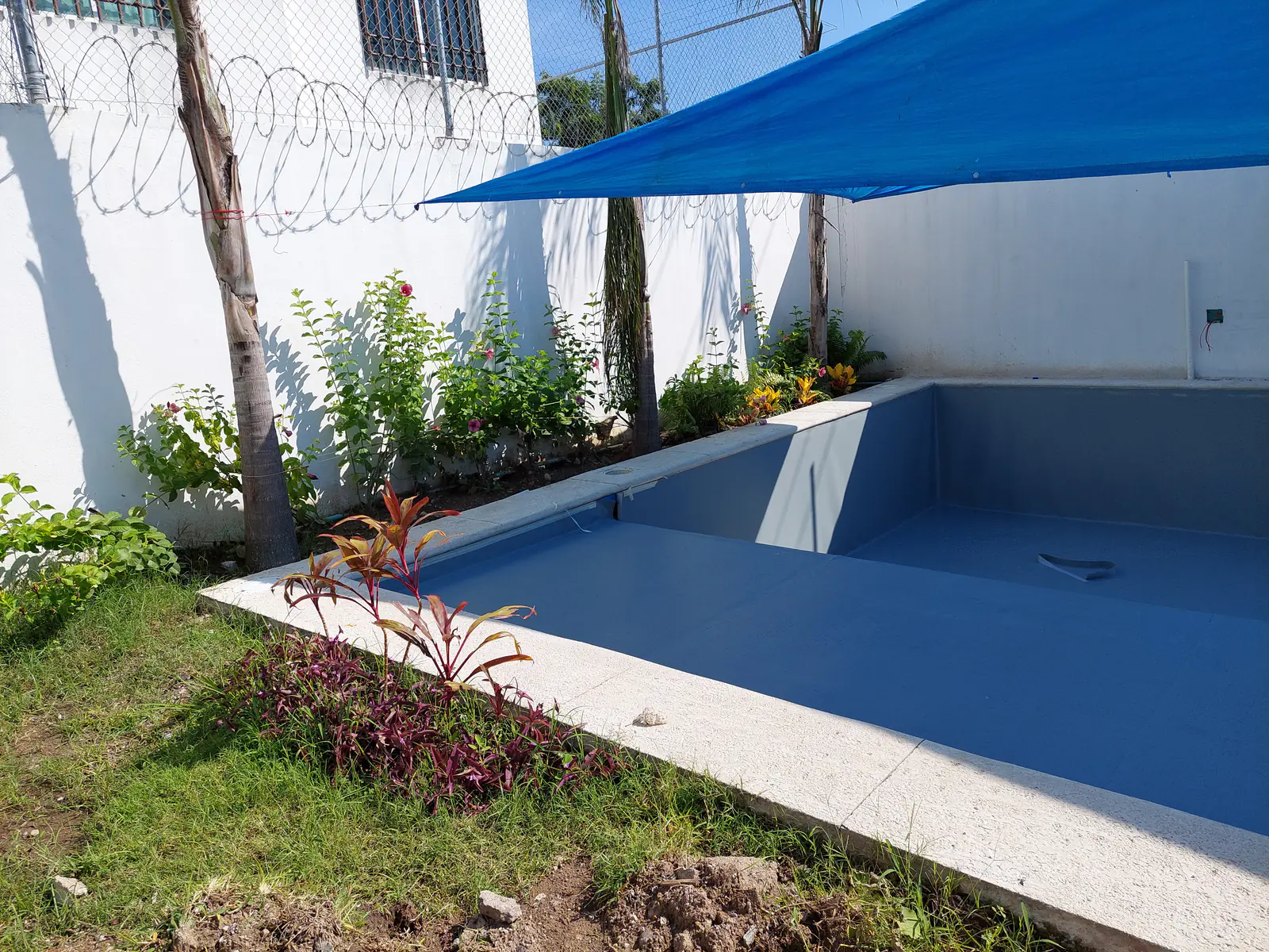 Jardín Tropical, alberca con sistema RENOLIT por AlbercasVIP, imagen 3